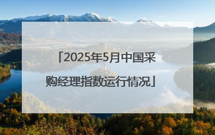 2025年5月中国采购经理指数运行情况
