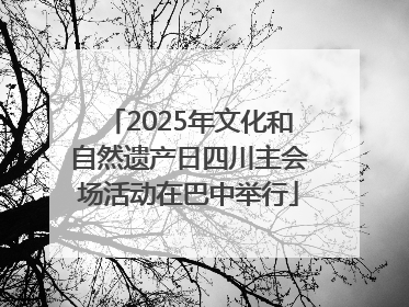 2025年文化和自然遗产日四川主会场活动在巴中举行