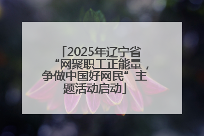 2025年辽宁省“网聚职工正能量，争做中国好网民”主题活动启动