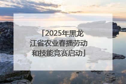 2025年黑龙江省农业春播劳动和技能竞赛启动