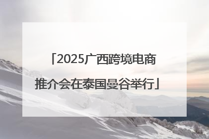 2025广西跨境电商推介会在泰国曼谷举行
