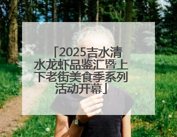 2025吉水清水龙虾品鉴汇暨上下老街美食季系列活动开幕