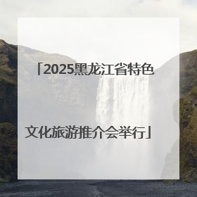 2025黑龙江省特色文化旅游推介会举行