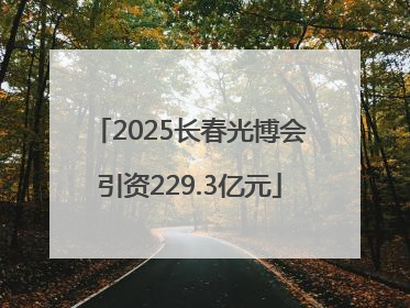 2025长春光博会引资229.3亿元