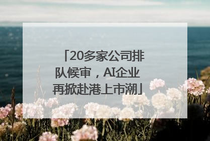 20多家公司排队候审，AI企业再掀赴港上市潮