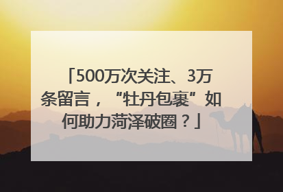 500万次关注、3万条留言，“牡丹包裹”如何助力菏泽破圈？