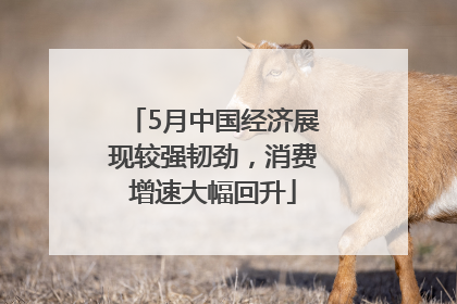 5月中国经济展现较强韧劲，消费增速大幅回升