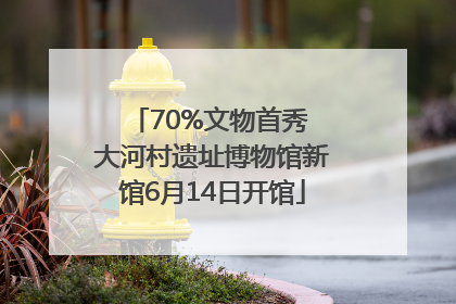 70%文物首秀 大河村遗址博物馆新馆6月14日开馆