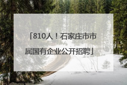 810人！石家庄市市属国有企业公开招聘