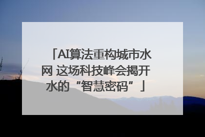 AI算法重构城市水网 这场科技峰会揭开水的“智慧密码”
