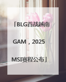 BLG首战越南GAM，2025MSI赛程公布