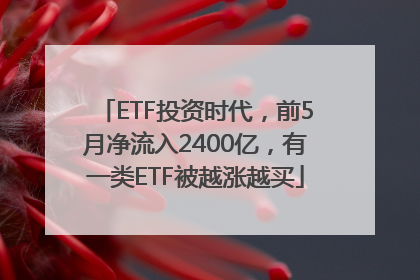 ETF投资时代，前5月净流入2400亿，有一类ETF被越涨越买