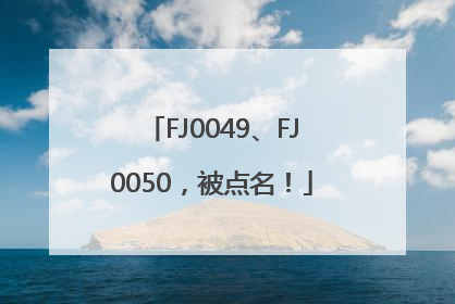 FJ0049、FJ0050，被点名！