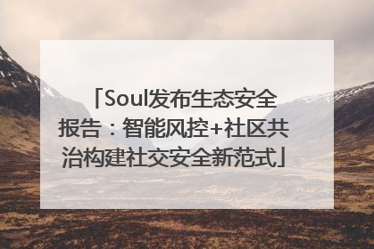 Soul发布生态安全报告：智能风控+社区共治构建社交安全新范式